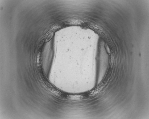 X0000059800268200511111609