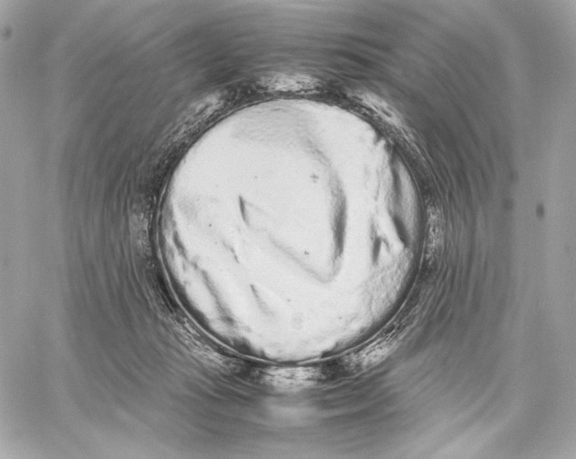 X0000059800269200511111609