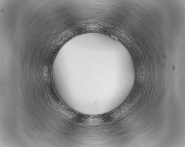 X0000059800270200511111609