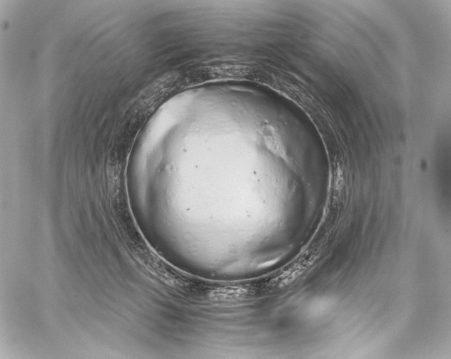 X0000059800271200511111609