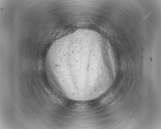 X0000059800272200511111609