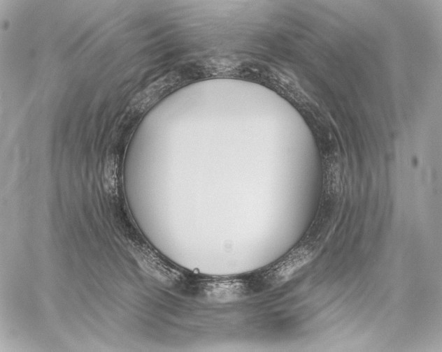 X0000059800274200511111609