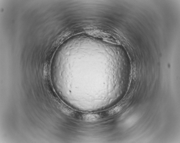 X0000059800277200511111609