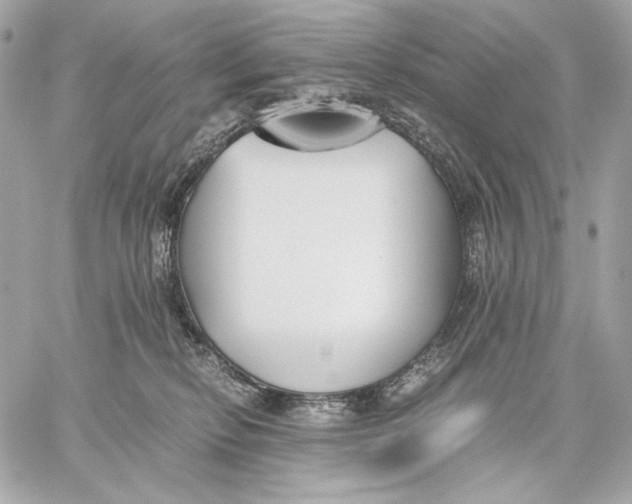 X0000059800278200511111609