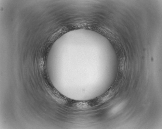 X0000059800279200511111609