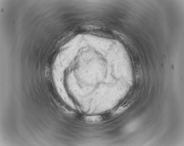 X0000059800281200511111609