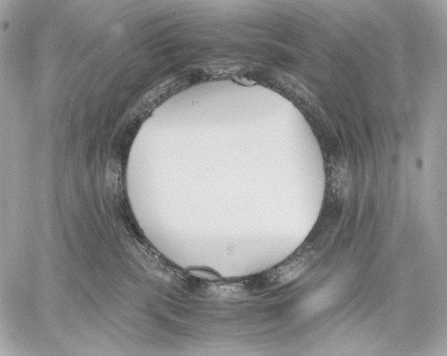 X0000059800283200511111609