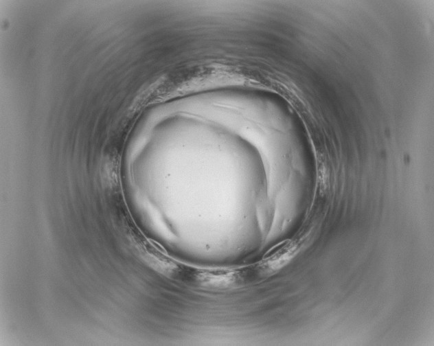 X0000059800285200511111609