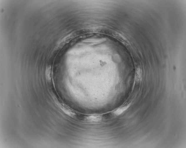 X0000059800286200511111609