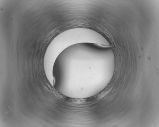 X0000059800288200511111609