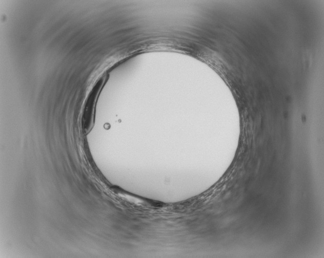 X0000059800289200511111608