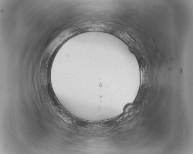 X0000059800291200511111608