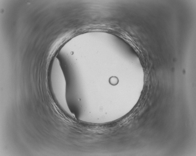 X0000059800293200511111608