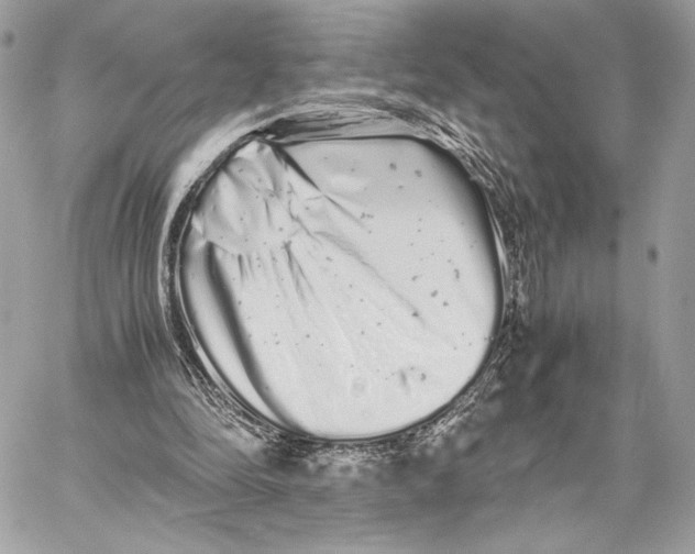 X0000059800294200511111608