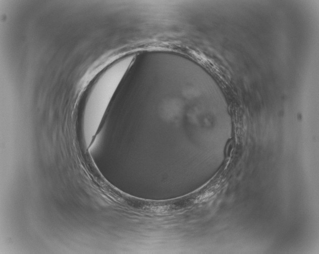 X0000059800295200511111608