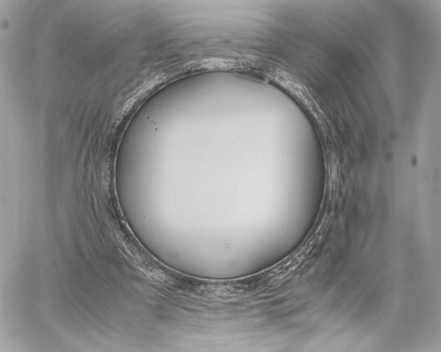 X0000059800297200511111608