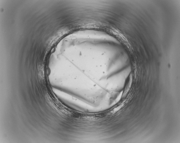 X0000059800298200511111608