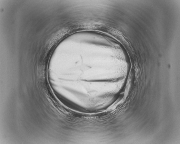 X0000059800299200511111608