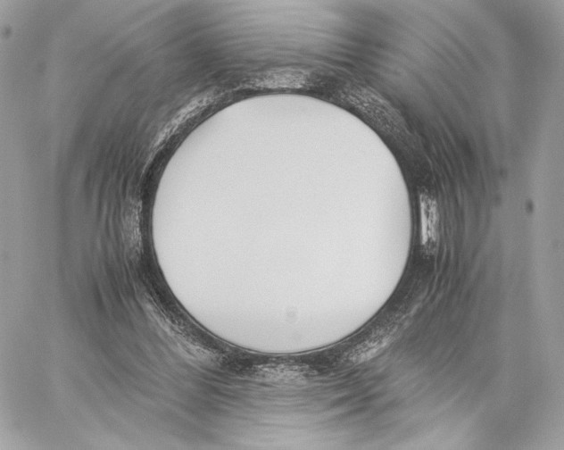 X0000059800300200511111608