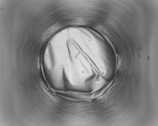 X0000059800302200511111608