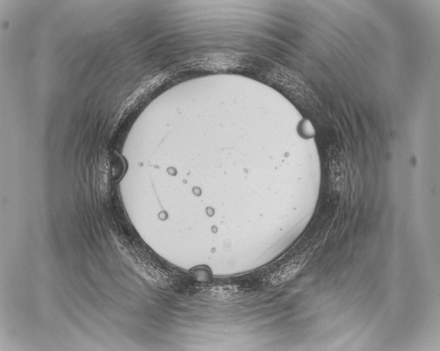 X0000059800304200511111608