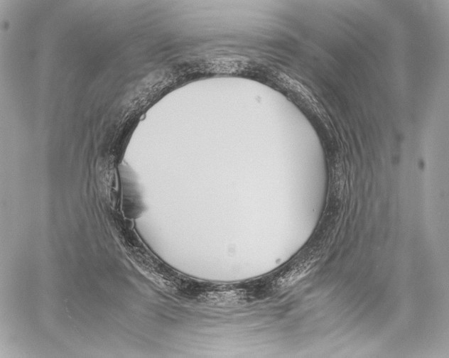 X0000059800307200511111608