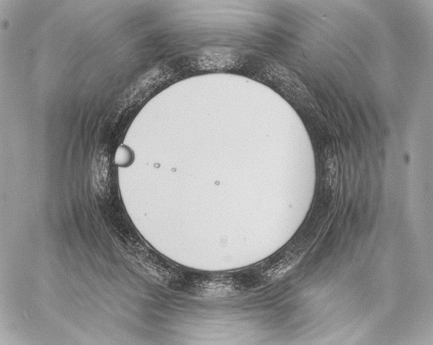 X0000059800308200511111608