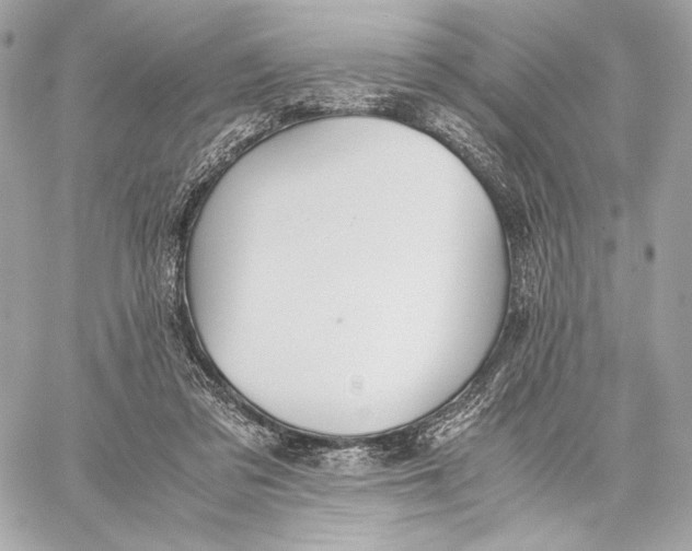 X0000059800309200511111608