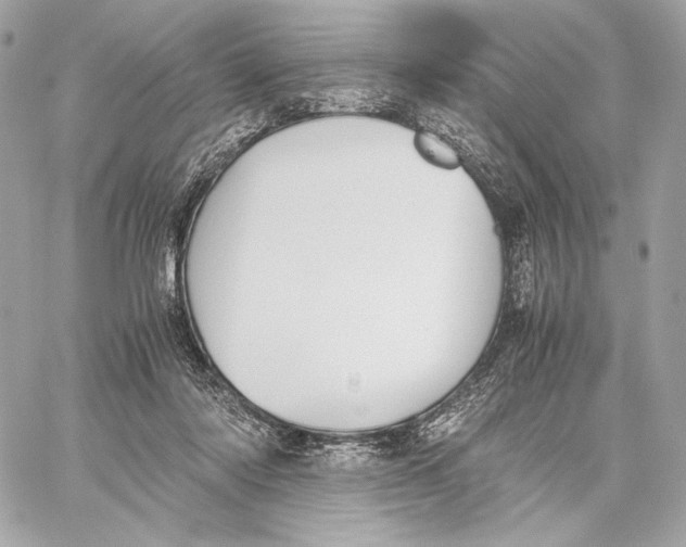 X0000059800310200511111608