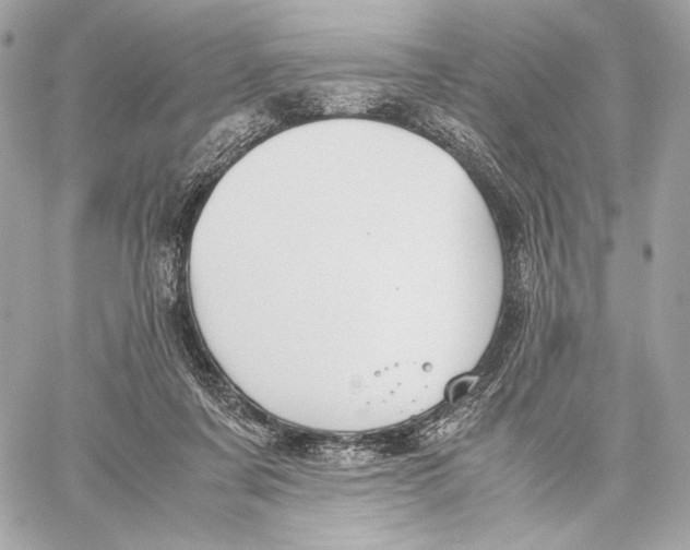 X0000059800311200511111608