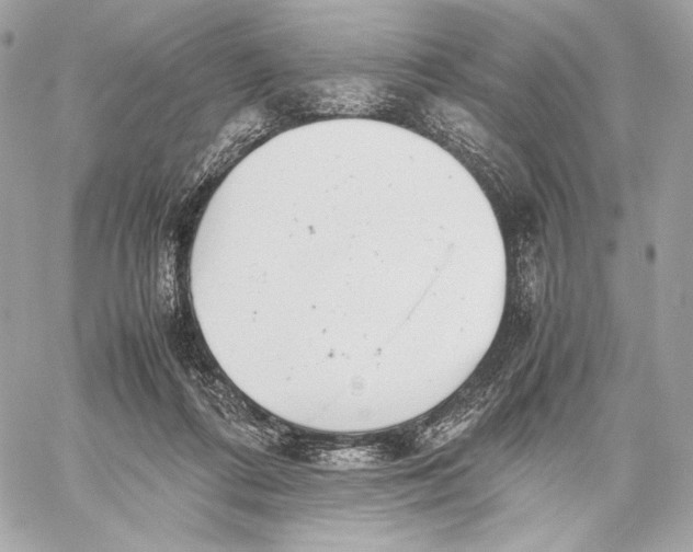 X0000059800312200511111608