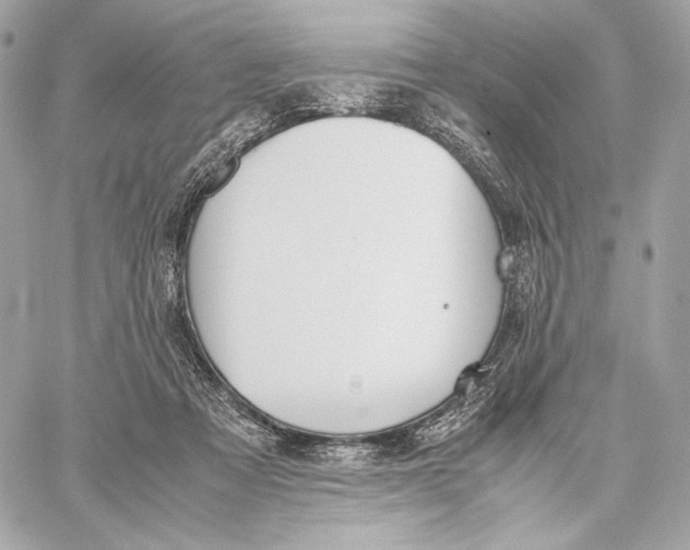 X0000059800313200511111608