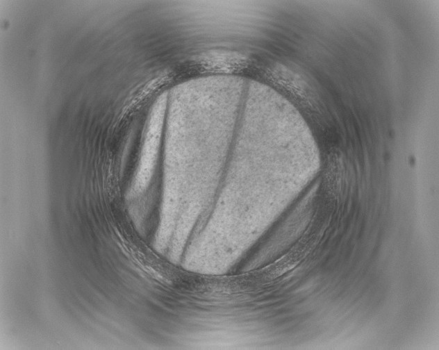 X0000059800314200511111608