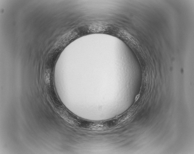 X0000059800315200511111608