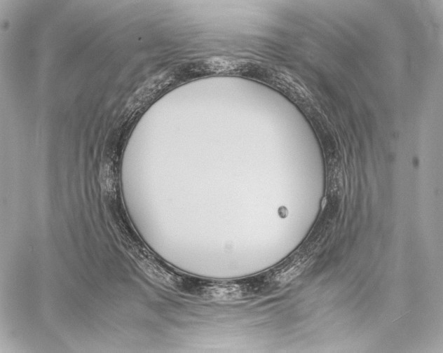 X0000059800317200511111608