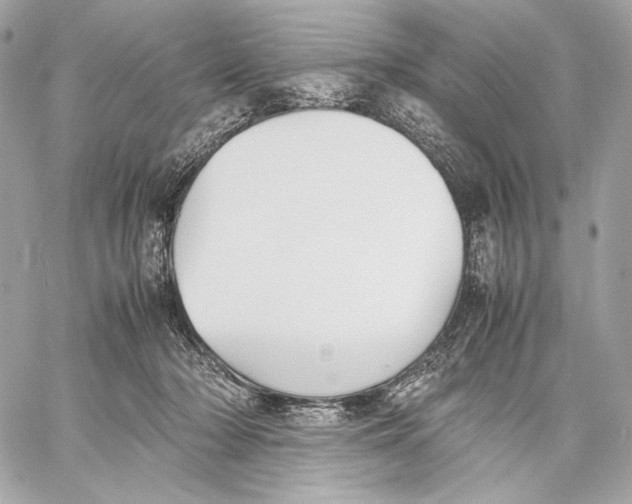 X0000059800318200511111608