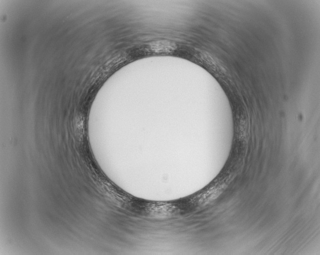 X0000059800321200511111608