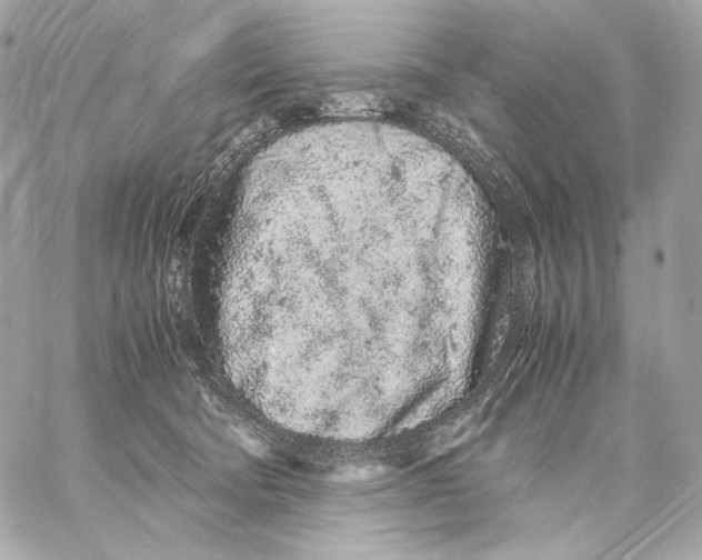 X0000059800322200511111607