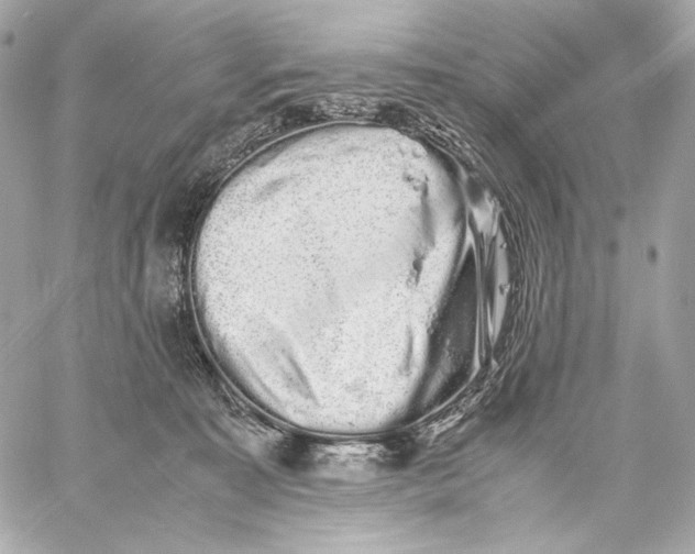 X0000059800323200511111607