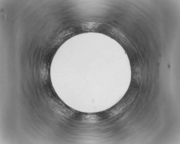 X0000059800324200511111607