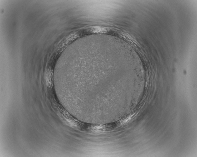 X0000059800325200511111607