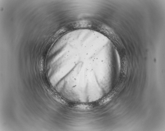 X0000059800326200511111607