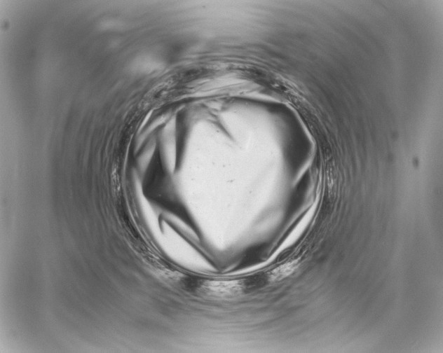 X0000059800327200511111607