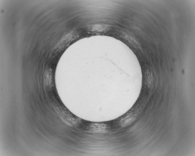 X0000059800328200511111607