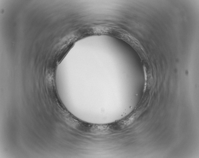 X0000059800329200511111607