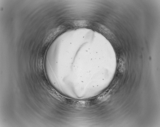 X0000059800330200511111607