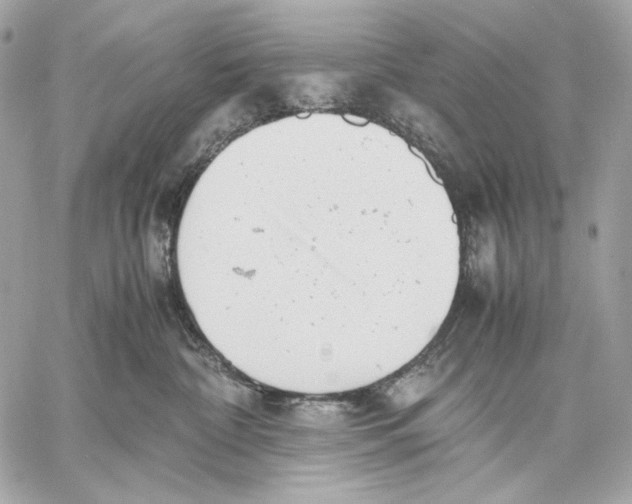 X0000059800332200511111607