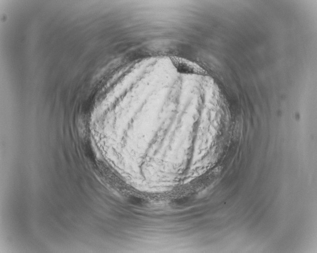 X0000059800335200511111607