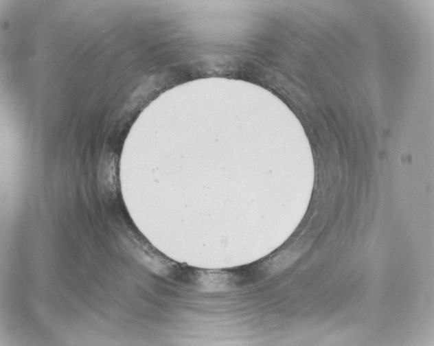 X0000059800336200511111607