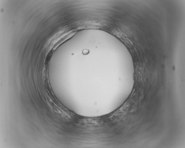 X0000059800338200511111606